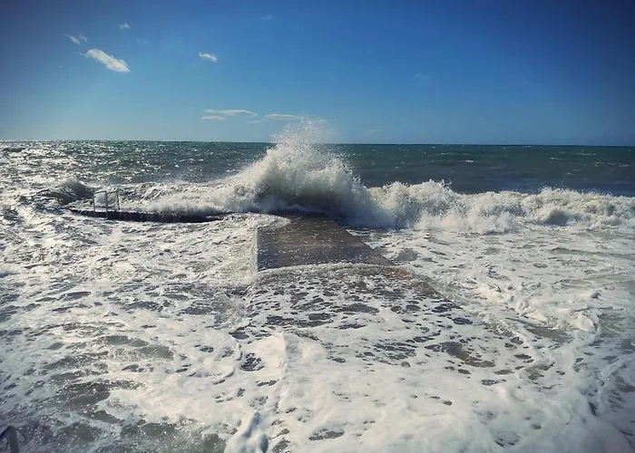 Pharos * Zambratija (Istria)