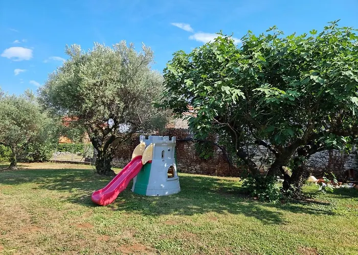 Pharos * Zambratija (Istria)