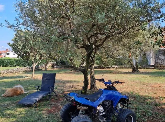 Pharos Zambratija (Istria)