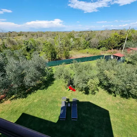 Pharos Замбратия