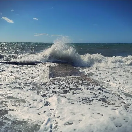 Pharos * Замбратия