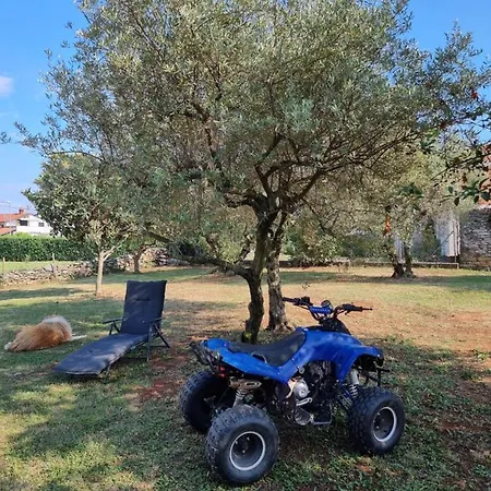 Pharos Замбратия